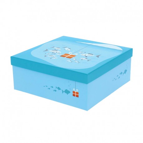 BOITE CARTON CARREE OBLEUE PM 25X25X10