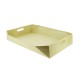 FOND CARTON POIGNEE CAGETTE GM