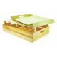 FOND CARTON POIGNEE CAGETTE GM